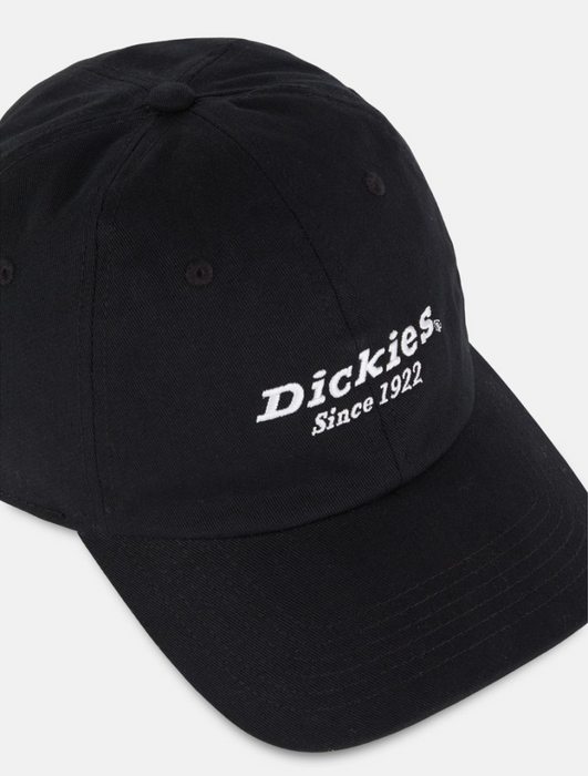 Dickies Everyday Katoenen Twill Pet